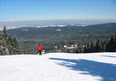 View from the ski runs