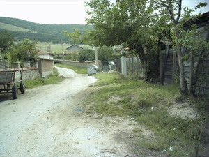 The road to the property