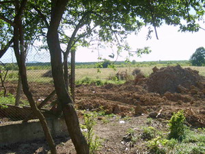 The fields next to the property