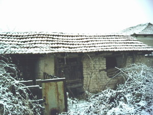 The outbuilding